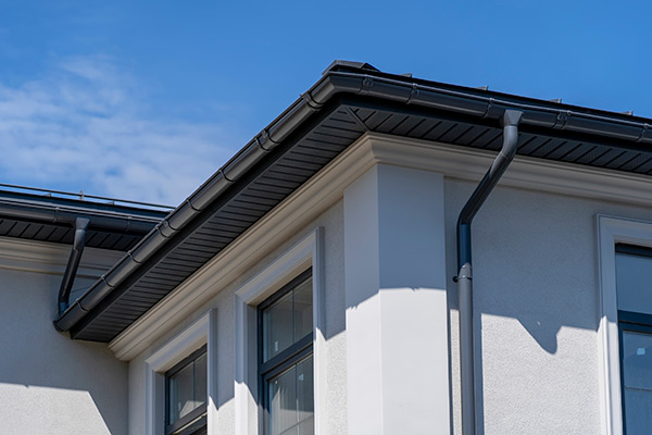 Gutter Services