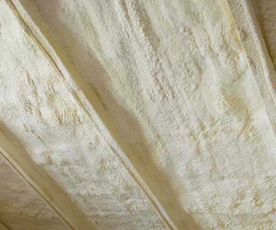 Spray Foam